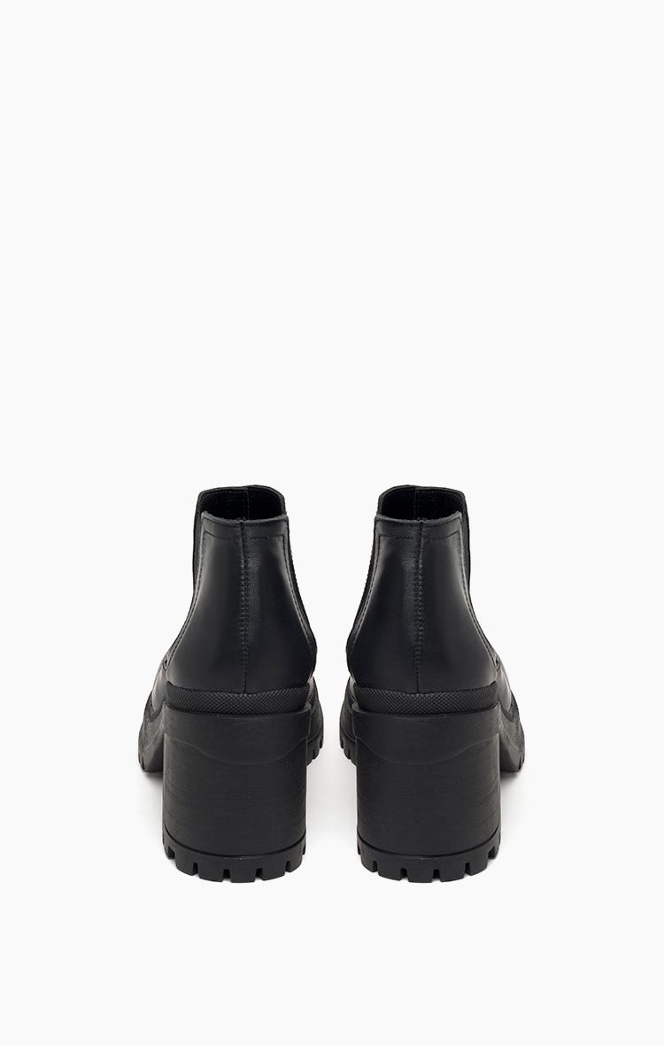 Borcego Reason