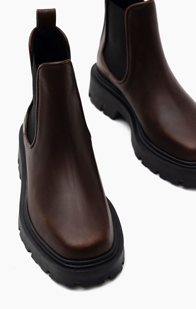 Borcego Curious