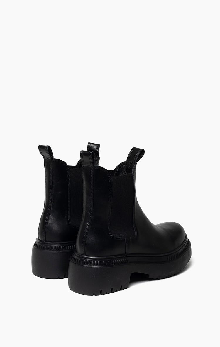 Borcego Pioneer