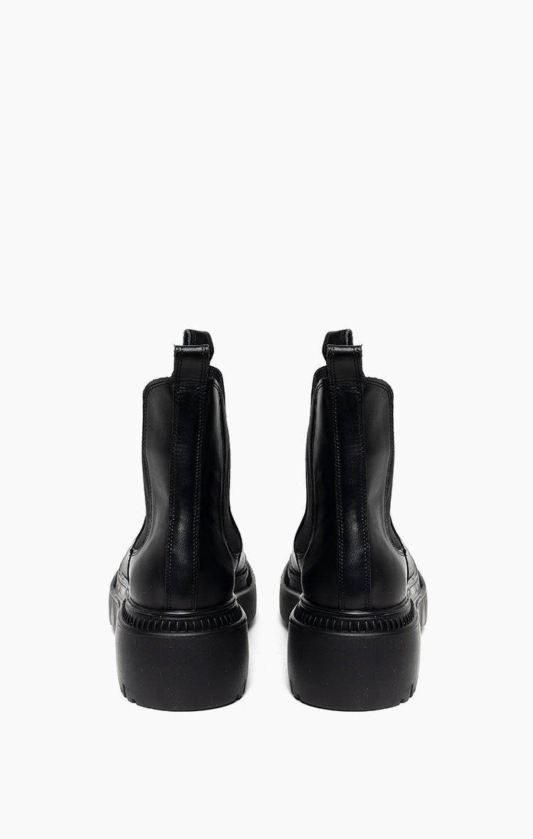 Borcego Pioneer