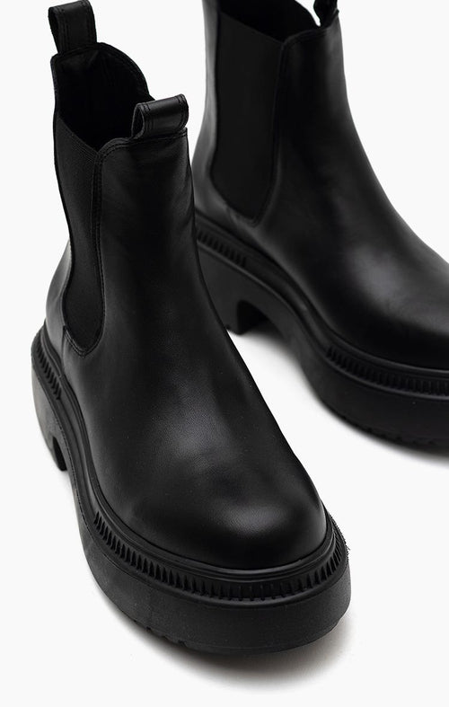 Borcego Pioneer